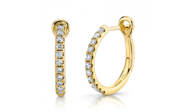 Shy Creation 14k Yellow Gold Diamond Hoop Earrings - SC22005537