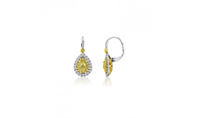 Roman & Jules Two Tone 18k Gold Drop Earrings - KE4039WY-18K-6