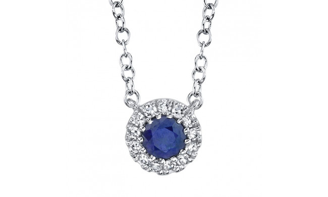 Shy Creation 14k White Gold Diamond & Blue Sapphire Necklace - SC55002751