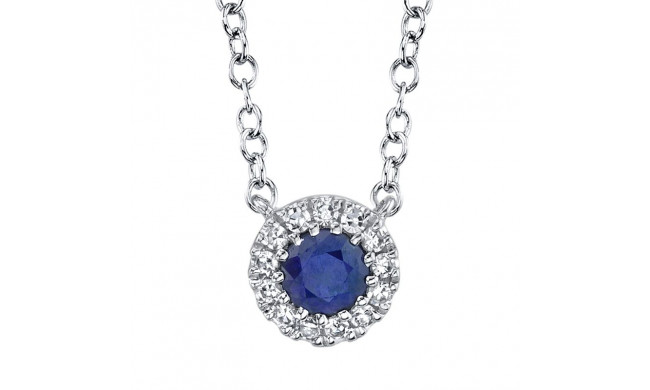 Shy Creation 14k White Gold Diamond & Blue Sapphire Necklace - SC55002751