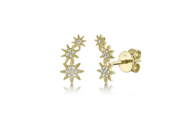Shy Creation 14k Yellow Gold Diamond Star Stud Earrings - SC55006158
