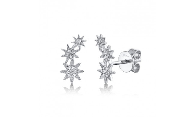 Shy Creation 14k White Gold Diamond Star Stud Earrings - SC55006157