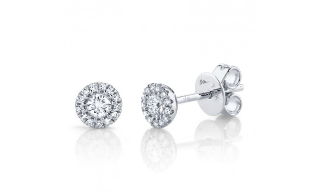 Shy Creation 14k White Gold Diamond Stud Earrings - SC55002599