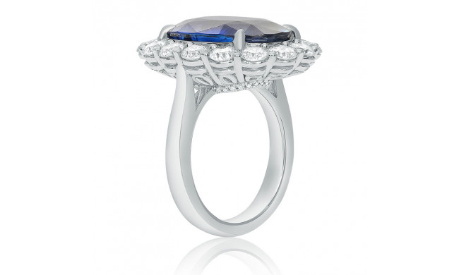 Roman & Jules Platinum Halo Engagement Ring - KR2317SP-PL-1