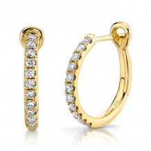 Shy Creation 14k Yellow Gold Diamond Hoop Earrings - SC22005537