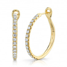 Shy Creation 14k Yellow Gold Diamond Hoop Earrings - SC22005540