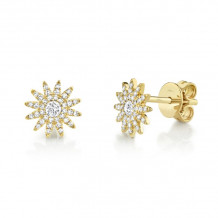 Shy Creation 14k Yellow Gold Diamond Starburst Stud Earrings - SC55004893