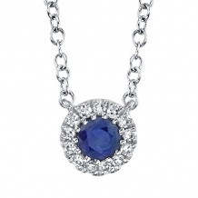 Shy Creation 14k White Gold Diamond & Blue Sapphire Necklace - SC55002751