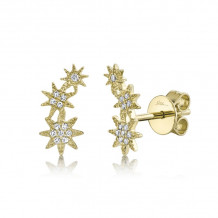 Shy Creation 14k Yellow Gold Diamond Star Stud Earrings - SC55006158