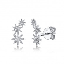 Shy Creation 14k White Gold Diamond Star Stud Earrings - SC55006157