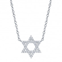 Shy Creation 14k White Gold Diamond Star Of David Necklace - SC55005241