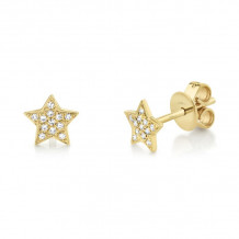 Shy Creation 14k Yellow Gold Diamond Star Stud Earrings - SC55001267