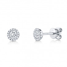 Shy Creation 14k White Gold Diamond Stud Earrings - SC55005789