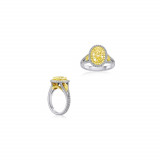 Roman & Jules 18k Two Tone Gold Yellow and White Diamond Ring - KR5185WY-18K photo