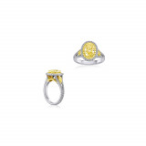 Roman & Jules 18k Two Tone Gold Yellow and White Diamond Ring - KR5185WY-18K photo