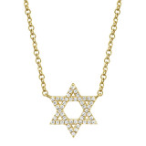 Shy Creation 14k Yellow Gold Diamond Star Of David Necklace - SC55005242 photo