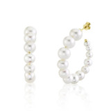 Shy Creation 14k Yellow Gold Cultured Pearl Hoop Earrings - SC36213972 photo