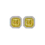 Roman & Jules Two Tone 18k Gold Studs - FE261WY-18K photo