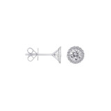 Roman & Jules 14k White Gold Studs - KE4133W photo