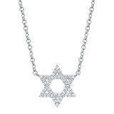 Shy Creation 14k White Gold Diamond Star Of David Necklace - SC55005241 photo